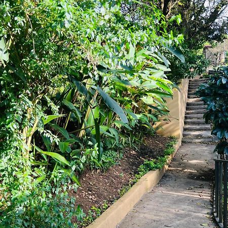 Apartamento Don Jarvey I Monteverde Ngoại thất bức ảnh