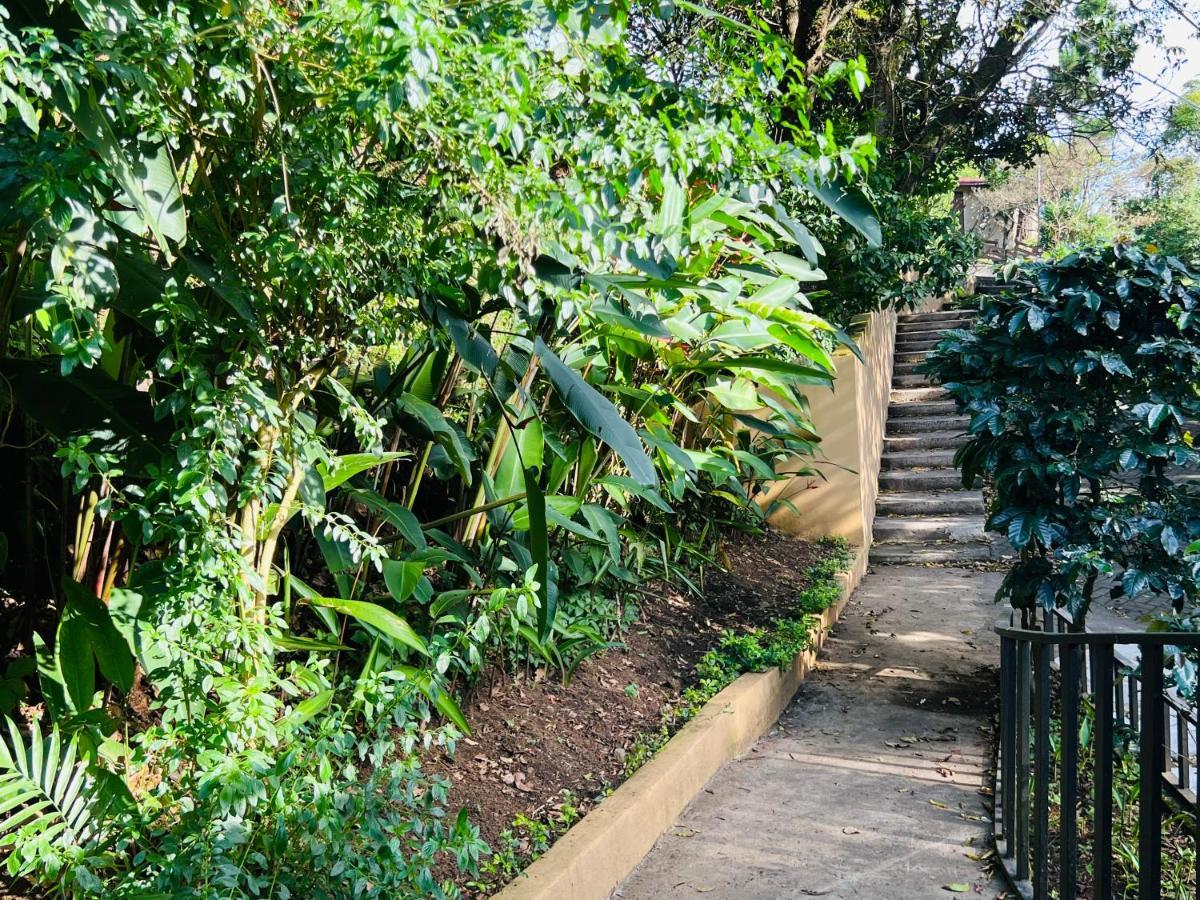 Apartamento Don Jarvey I Monteverde Ngoại thất bức ảnh